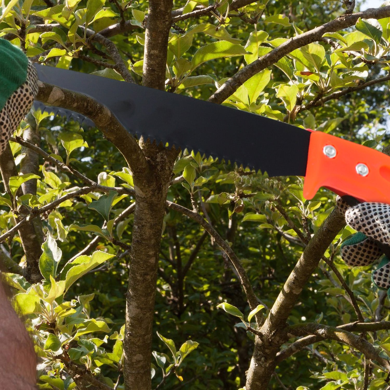 Hand Pruning Saw for Tree Branch Cutter (1 Pc) view 6